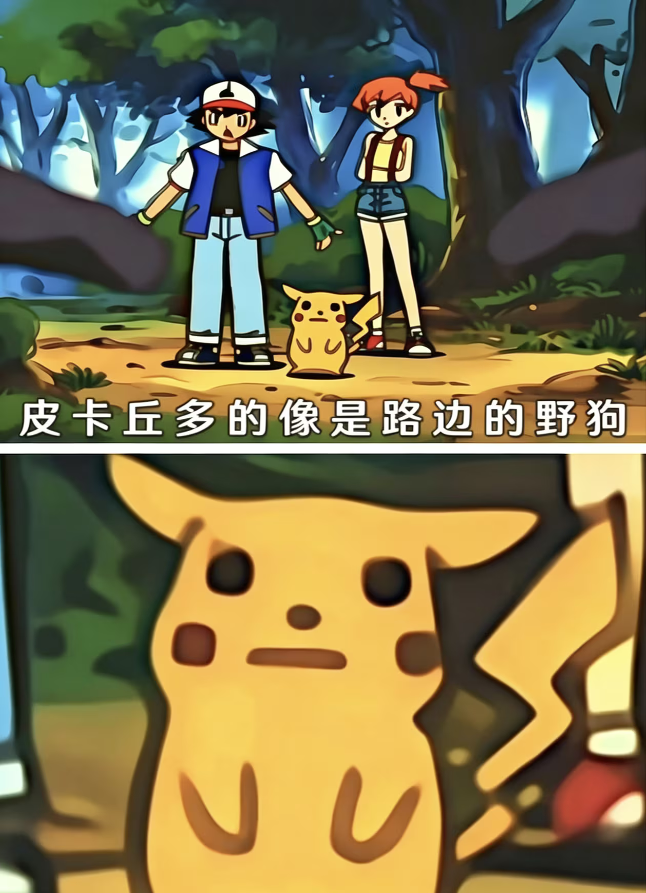 测试111